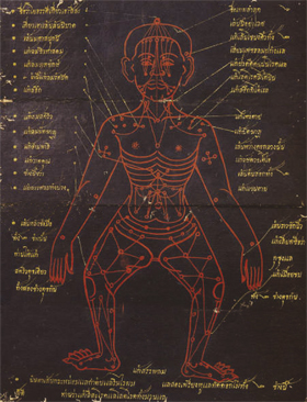 เส้นและจุดสำหรับนวด เพื่อการบำบัดโรคพึงแก้อาการต่างๆ (จากตำราเวชศาสตร์ฉบับหลวง รัชกาลที่ ๕)