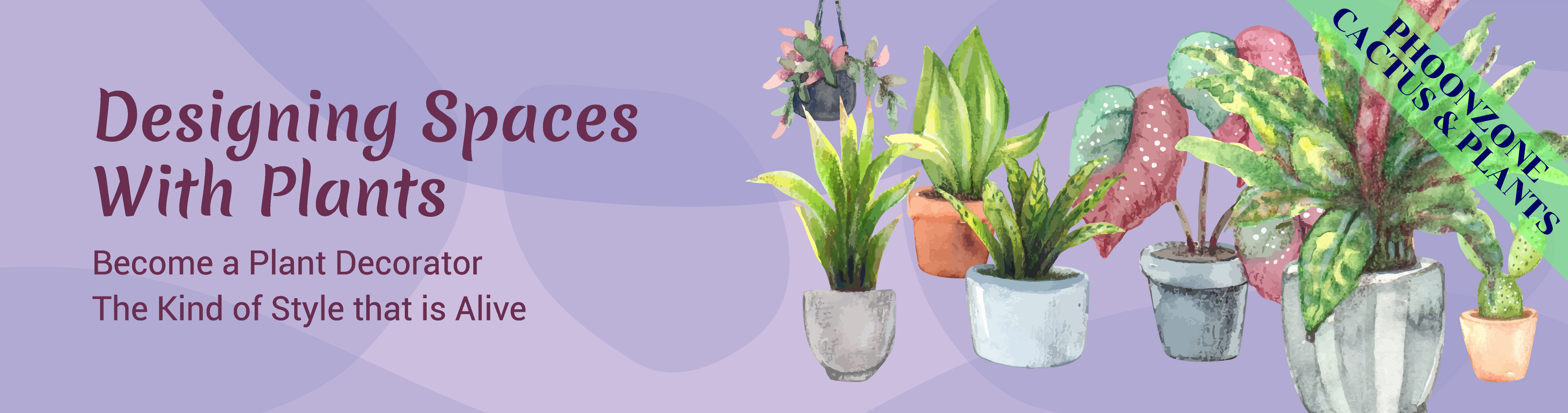 PHOONZONE CACTUS & PLANTS
